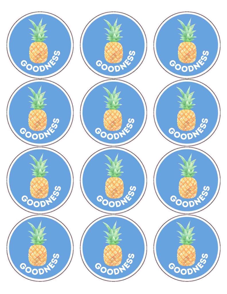 Fruit of the spirit stickers goodness, These Goodness stickers are perfect for decorating notebooks, water bottles, or any other surface to remind kids of the importance of love in their lives.