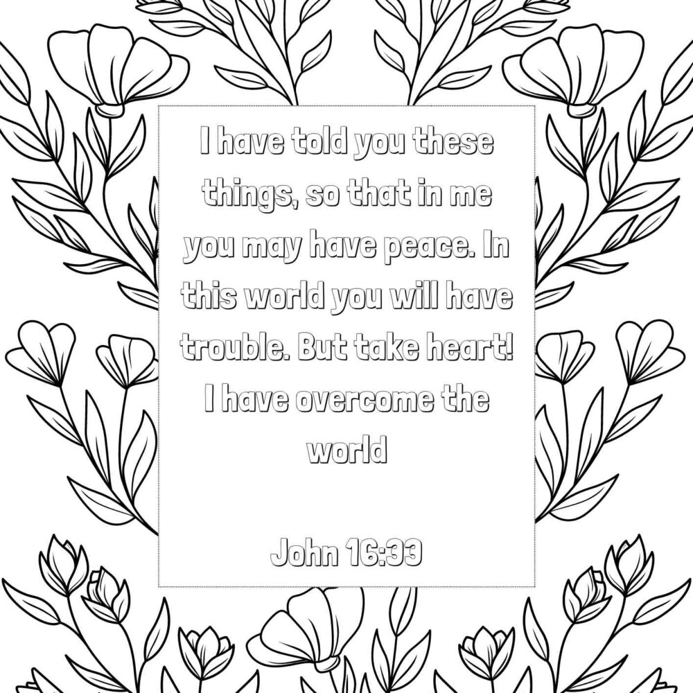 Shop Primary Image Shop Primary Image